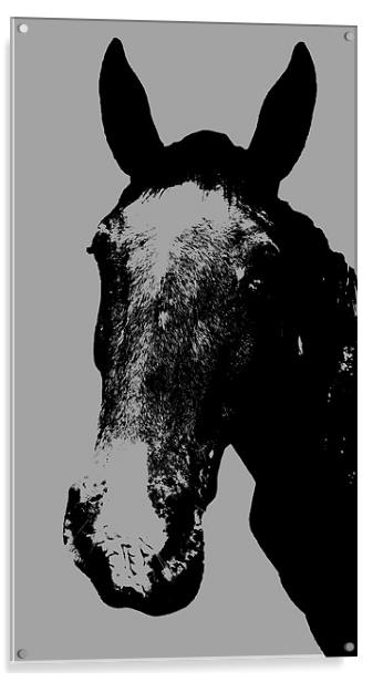 Horse Print Acrylic by Matt Knight