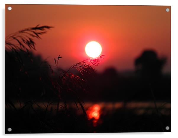 Red Sunset On Grassy Fingers Acrylic by Gary Barratt