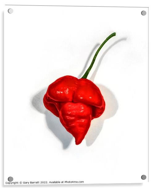 Red Scorpion Chili. Acrylic by Gary Barratt
