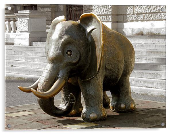 The Brass Elephant Of Vienna Acrylic by Gary Barratt
