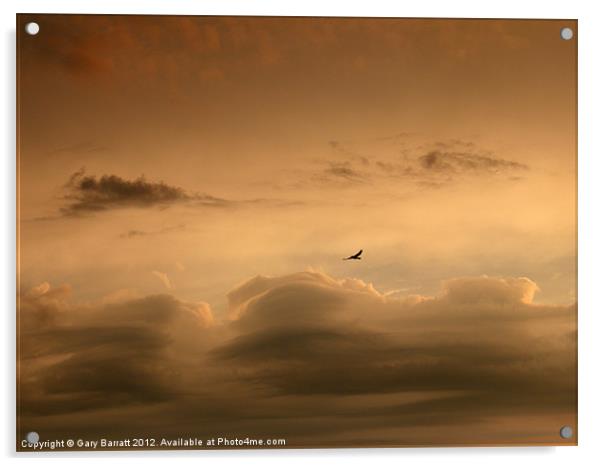 Lone Bird Menacing Sky Acrylic by Gary Barratt