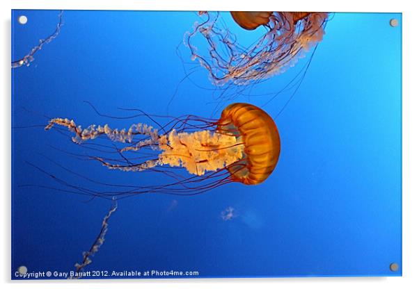 Jelly Of The Deep. Acrylic by Gary Barratt