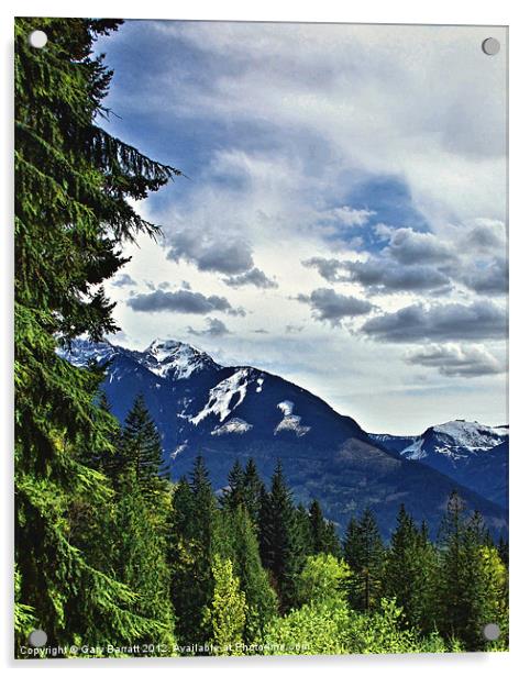 Canadian Rocky Mountain Woodlands Acrylic by Gary Barratt