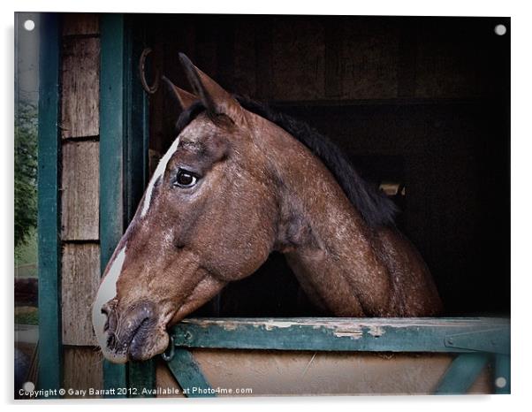 A Horse Of Course - Retro Acrylic by Gary Barratt