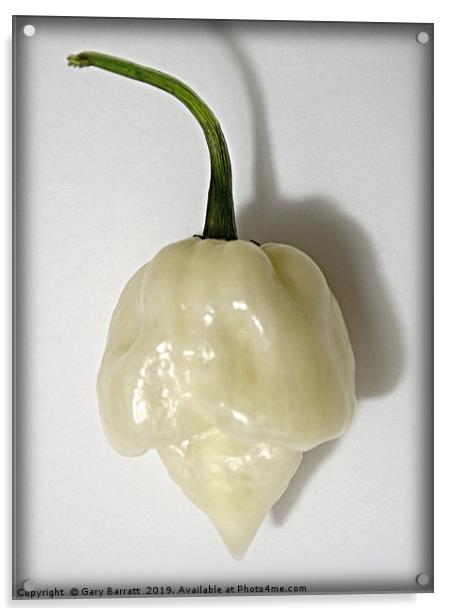 White Scorpion Pepper. Acrylic by Gary Barratt