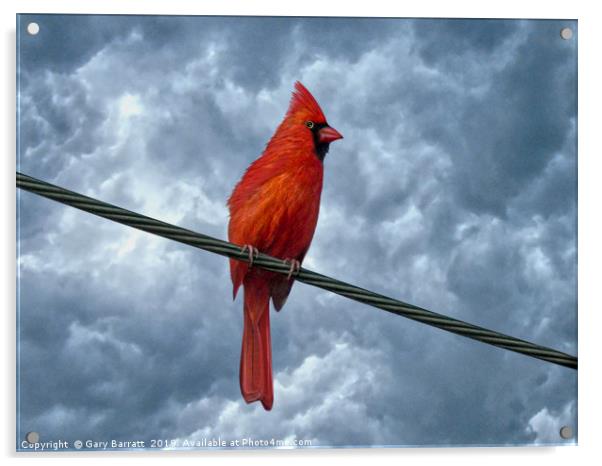 A Bird On A Wire. Acrylic by Gary Barratt