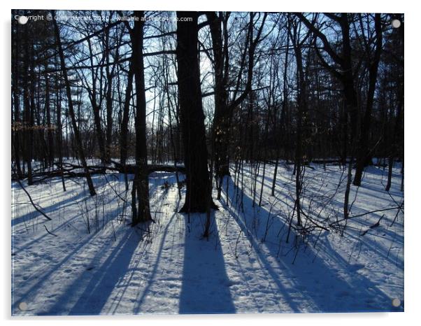 Long Winter Shadows Acrylic by Gary Barratt