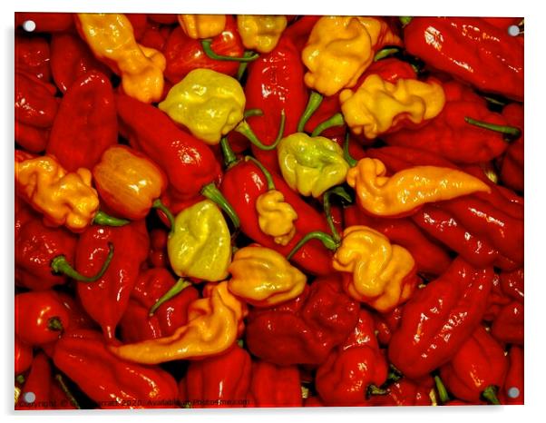 Hot Pepper Mix Acrylic by Gary Barratt