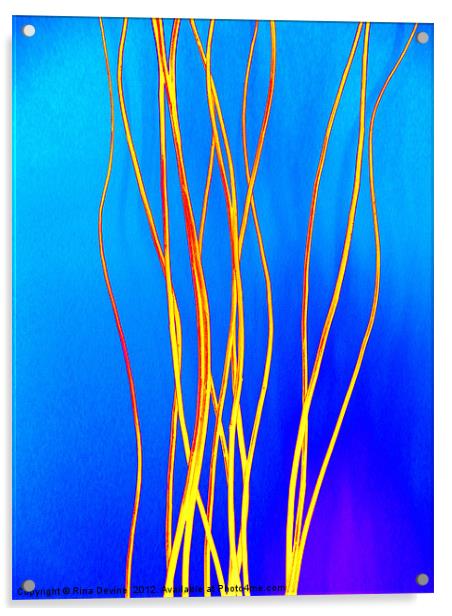 Luminous Twigs Acrylic by Fine art by Rina