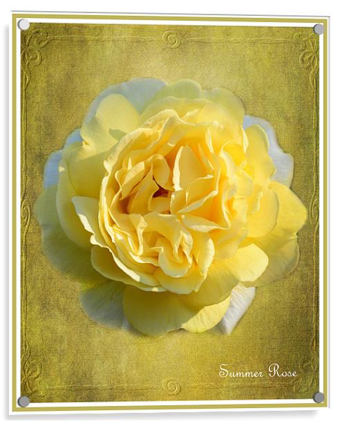 Summer Rose Acrylic by Fine art by Rina