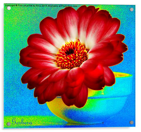 Gerbera Acrylic by Fine art by Rina