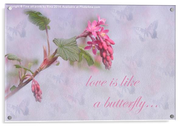 Love is like a butterfly Acrylic by Fine art by Rina
