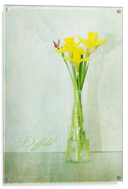  Daffodil Acrylic by Fine art by Rina