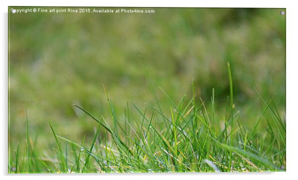  Spring grass Acrylic by Fine art by Rina