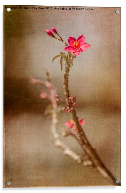  Little red flower Acrylic by Fine art by Rina