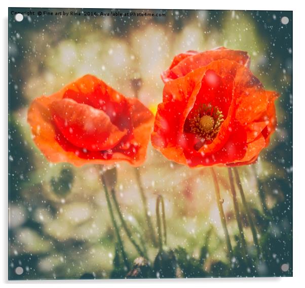 Winter Poppies Acrylic by Fine art by Rina