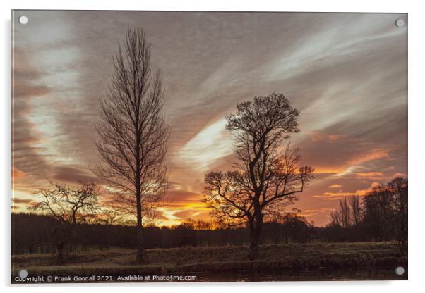 Sunrise Through The Trees Acrylic by Frank Goodall