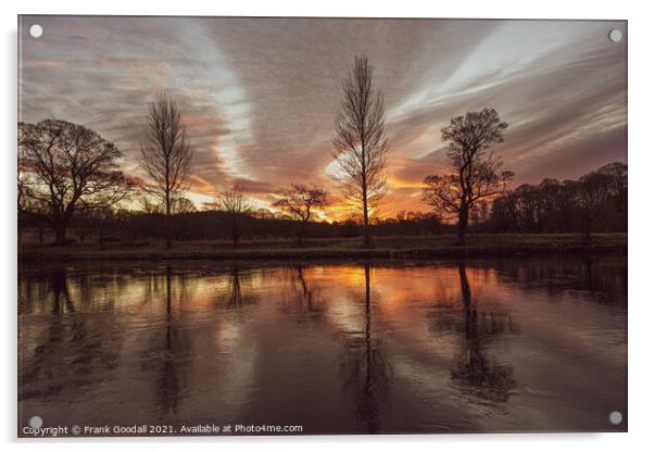 Reflecting on the morning Acrylic by Frank Goodall