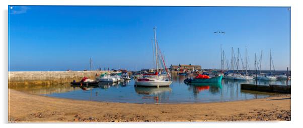 Lyme Regis Harbour Acrylic by Maggie McCall