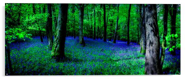 Bluebell Wood, Devon. Acrylic by Maggie McCall