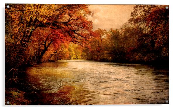 Autumnal River Tamar Acrylic by Maggie McCall