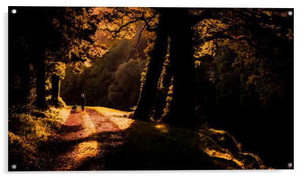 Autumn Walk along the Tamar River Acrylic by Maggie McCall