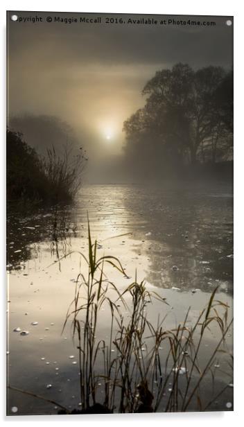 Misty Winter Sunrise on Tamar River, Devon Acrylic by Maggie McCall