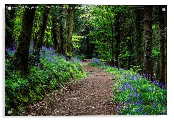 A Walk in the Bluebell woods Acrylic by Maggie McCall