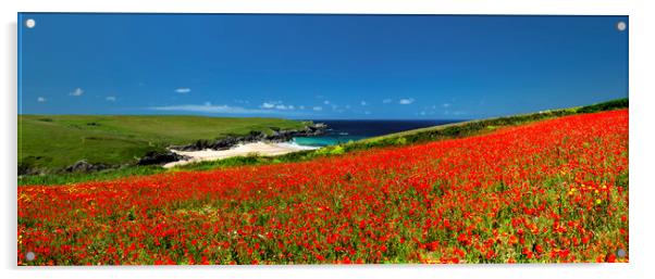Poppies at West Pentire, Cornwall. Acrylic by Maggie McCall