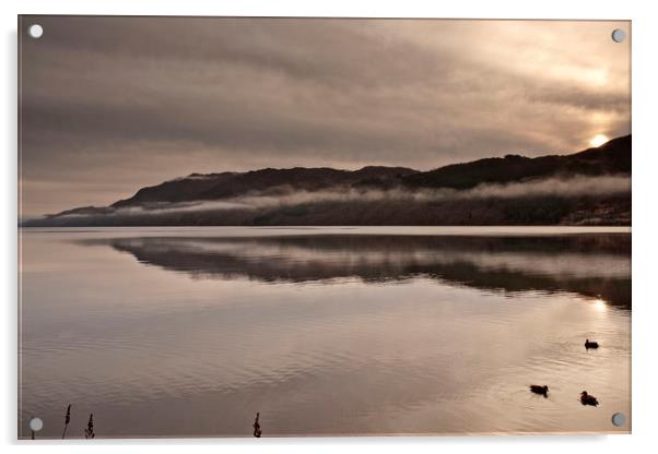 COLD MISTY MORNING(Ducks on the loch) Acrylic by raymond mcbride