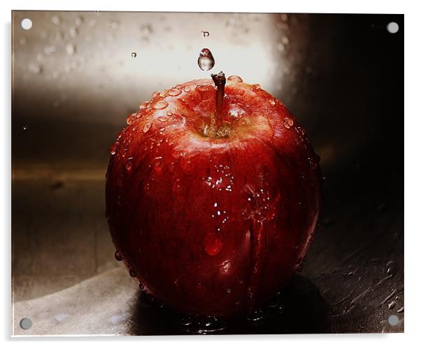 gala apple Acrylic by Isabel Antonelli