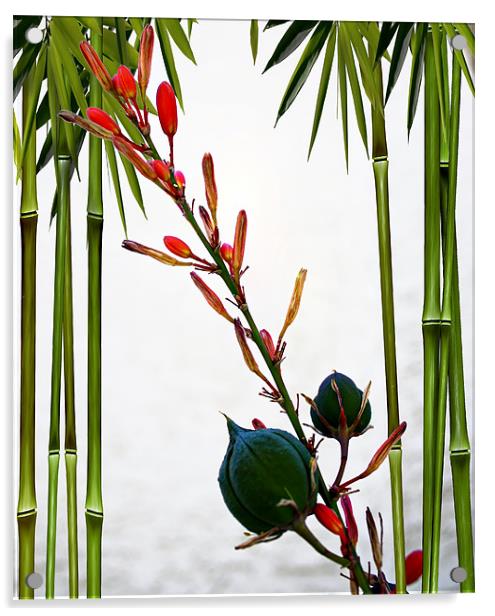 Flower Buds with Bamboo Acrylic by Isabel Antonelli
