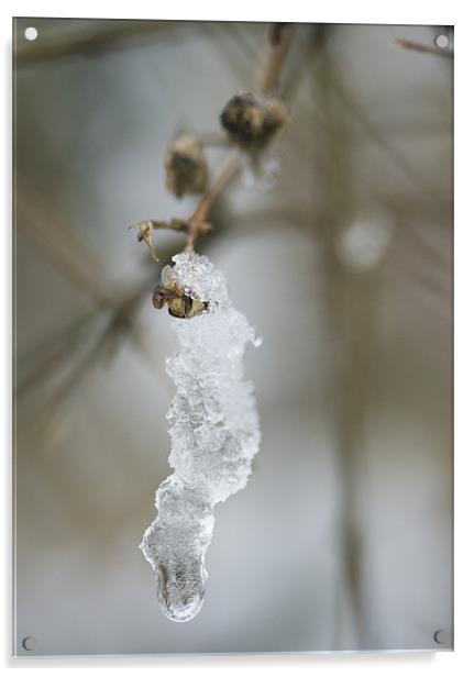 Melting Snow Acrylic by J Lloyd