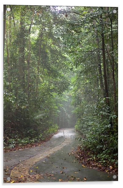 Bukit Timah Nature Reserve Singapore Acrylic by J Lloyd