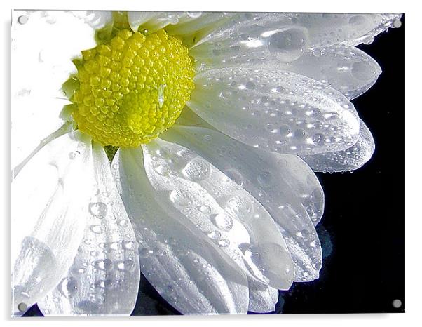 783-beautiful flower Acrylic by elvira ladocki