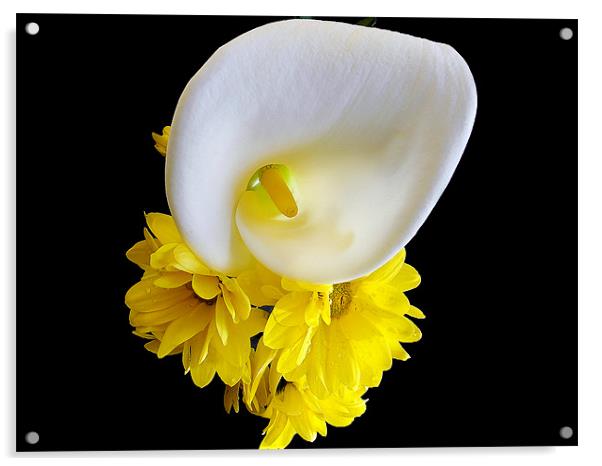 844-beautiful flowers Acrylic by elvira ladocki