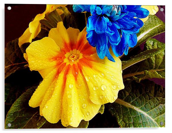 1122-multicolor flowers Acrylic by elvira ladocki