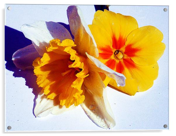 1218-spring flowers Acrylic by elvira ladocki
