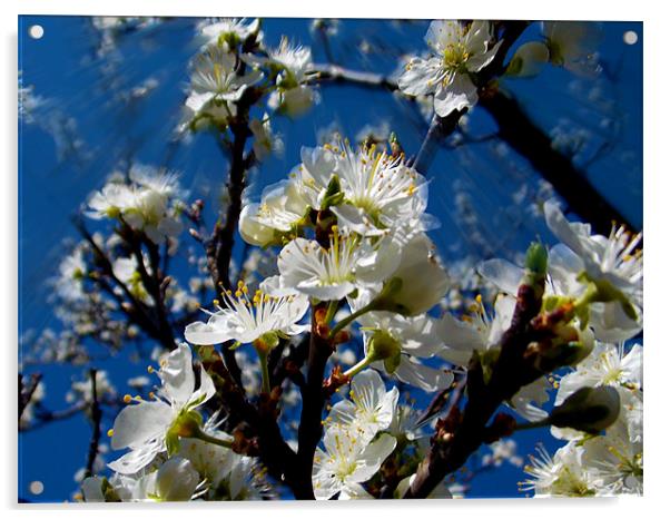 1478-flowers tree Acrylic by elvira ladocki