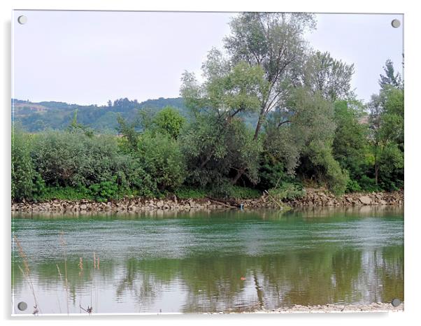 2157-trees on the riverband Acrylic by elvira ladocki