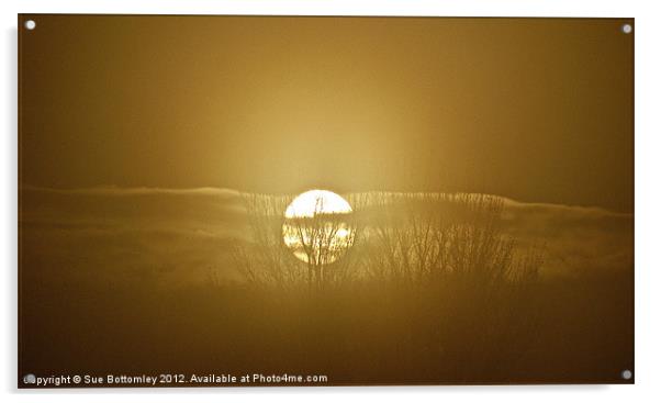 Foggy November sunrise Acrylic by Sue Bottomley