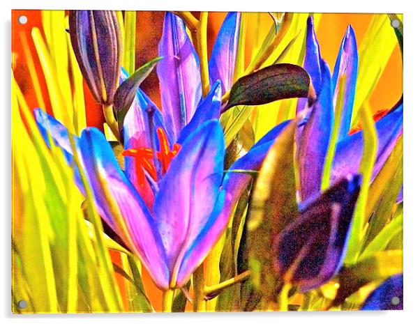 Blue Cocktail Lily Acrylic by Sue Bottomley