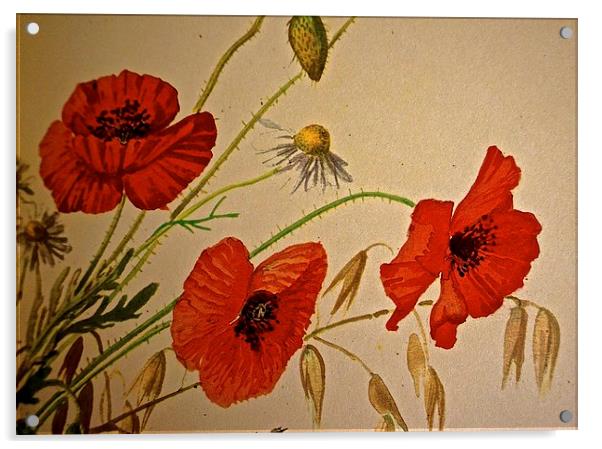  Common Red Poppy with Hare bell and Mayweed Acrylic by Sue Bottomley