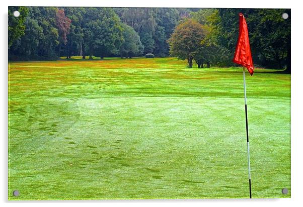 One part of a Nine hole golf course on Chorleywood Acrylic by Sue Bottomley