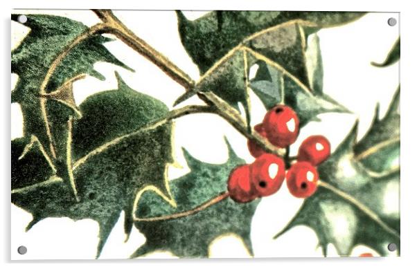  Christmas Time Holly Time Acrylic by Sue Bottomley
