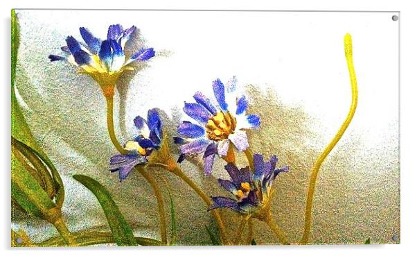 Blue silk flowers against the wall  Acrylic by Sue Bottomley