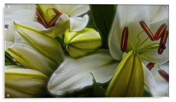  Open and Closed White Lilies Acrylic by Sue Bottomley