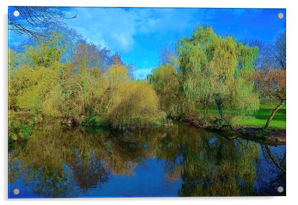  Cassiobury Park Nature Reserve  Acrylic by Sue Bottomley