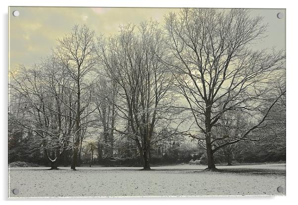 Trees winter season scene                          Acrylic by Sue Bottomley