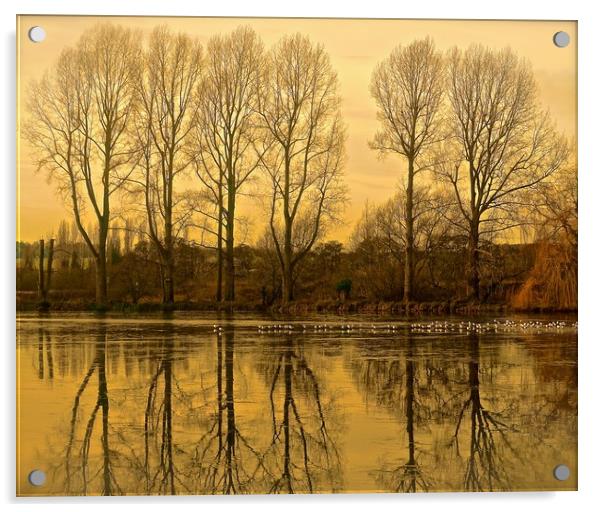  Trees reflection across the lake                  Acrylic by Sue Bottomley
